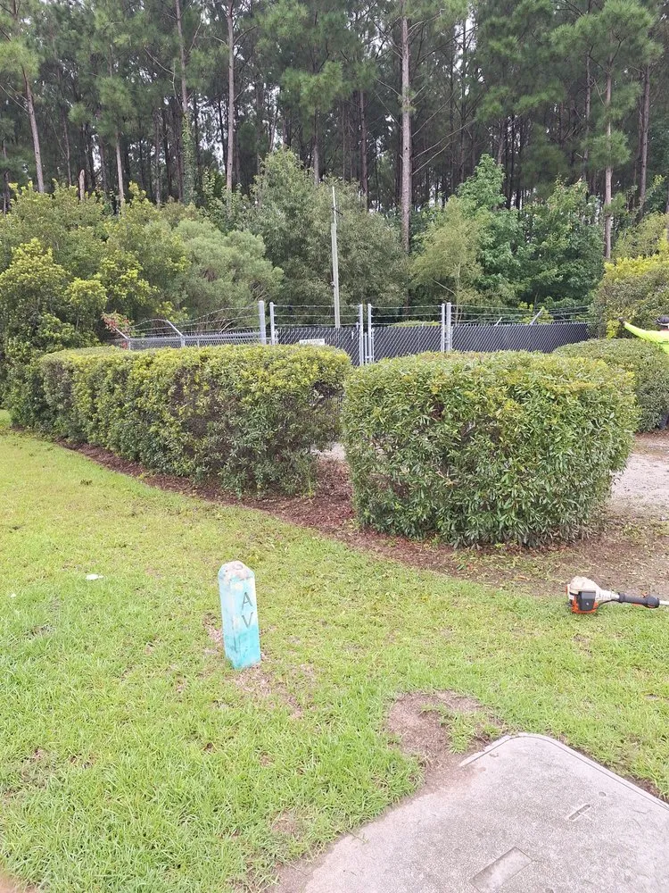 Trusted residential landscaping in Loris, SC by Immaculate Trims