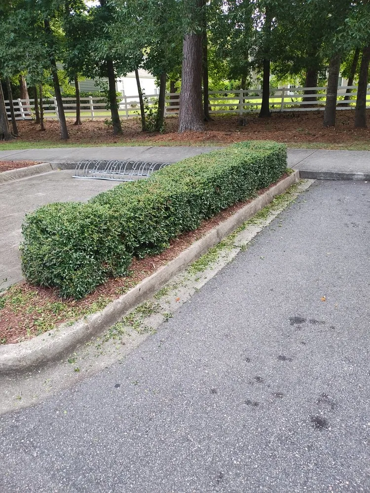 Top-rated residential landscaping for residential properties in Loris, SC by Immaculate Trims