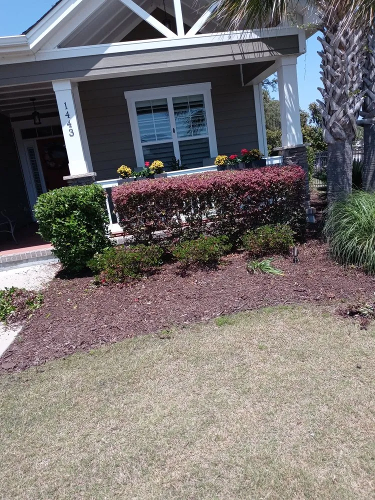 Top-rated lawn mowing service in Loris, SC - Immaculate Trims