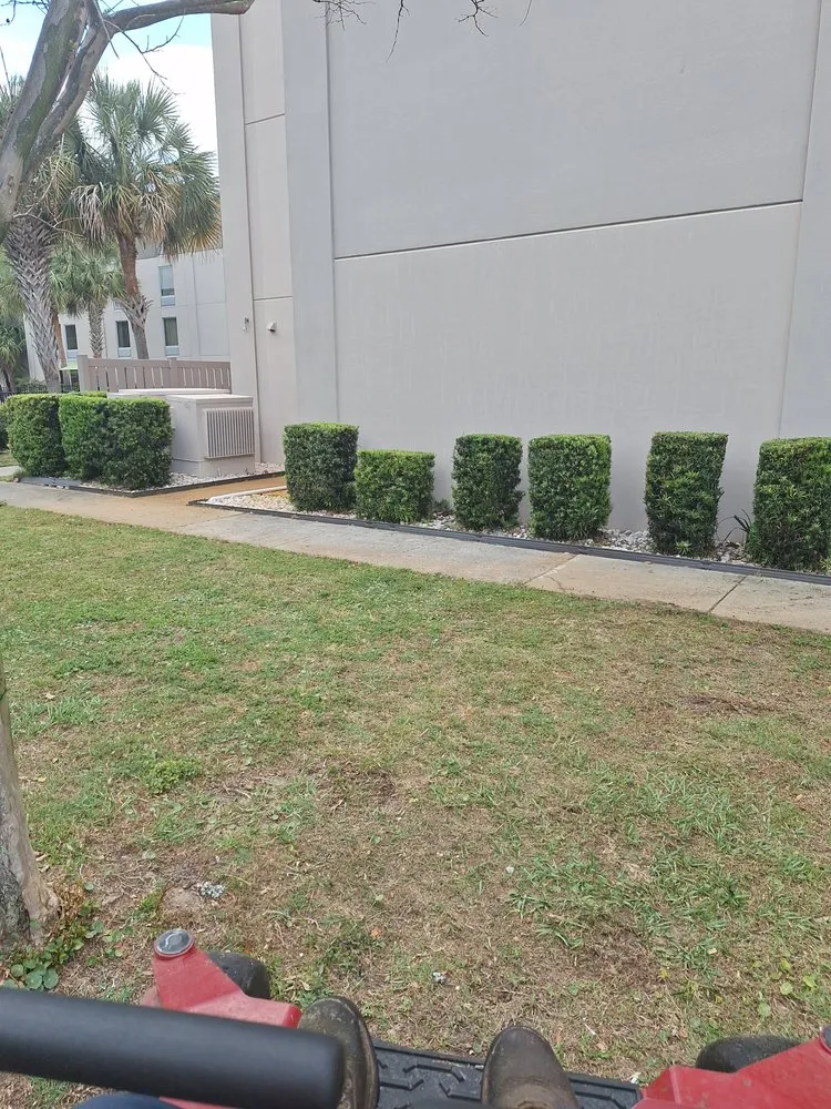 Expert lawn mowing service experts serving Loris, SC - Immaculate Trims