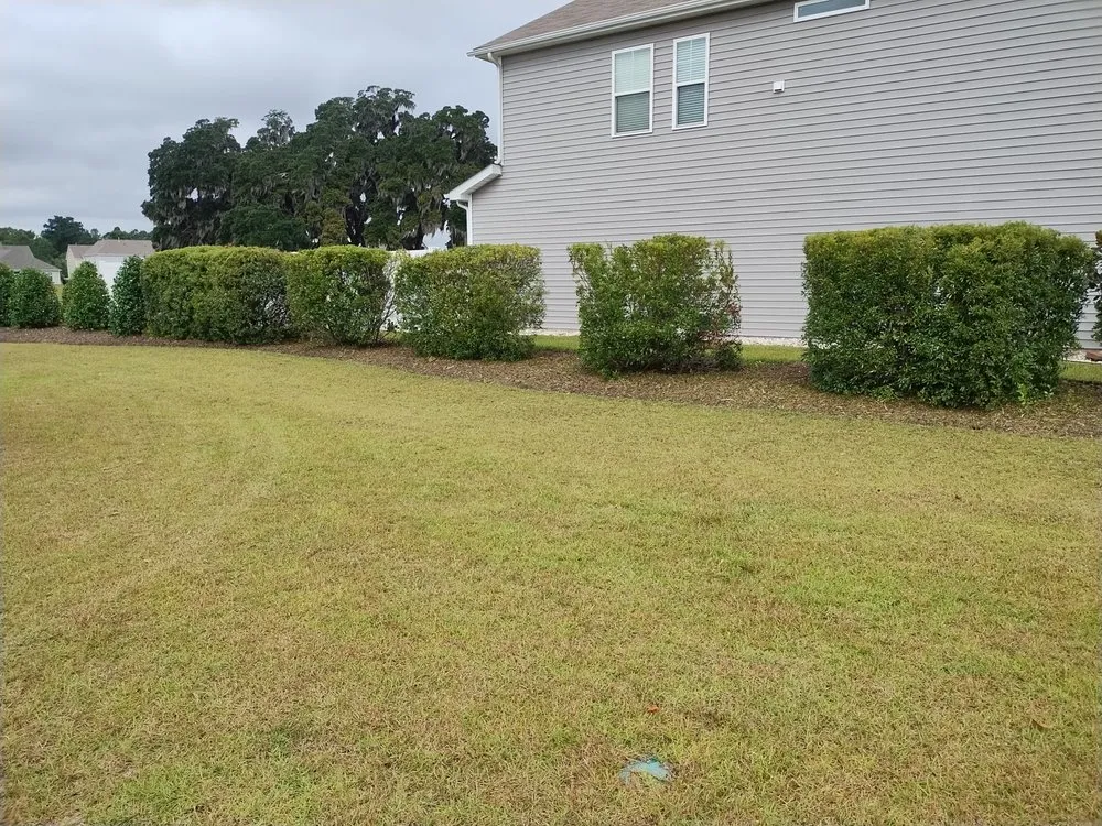 Top-rated yard cleanup service with custom design in Loris, SC by Immaculate Trims