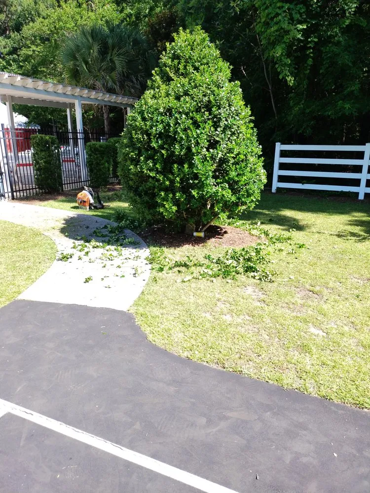 Custom landscape installation near you in Loris, SC by Immaculate Trims