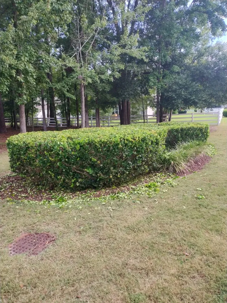 Custom outdoor landscaping in Loris, SC by Immaculate Trims