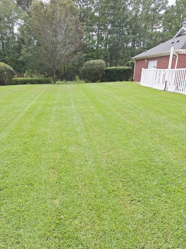 Affordable yard maintenance in Loris, SC by Immaculate Trims