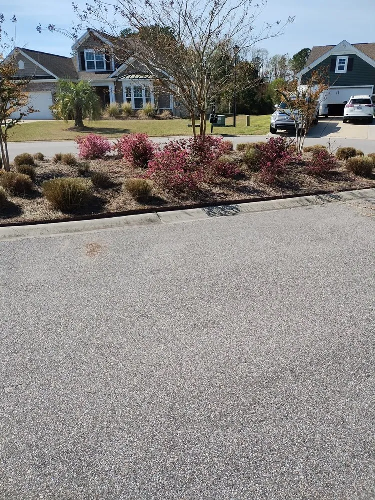 Expert garden landscaping near you across Loris, SC - Immaculate Trims