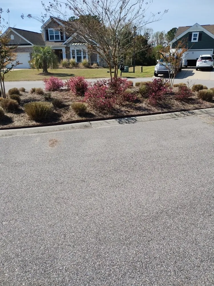 Local landscape installation for beautiful yards across Loris, SC - Immaculate Trims
