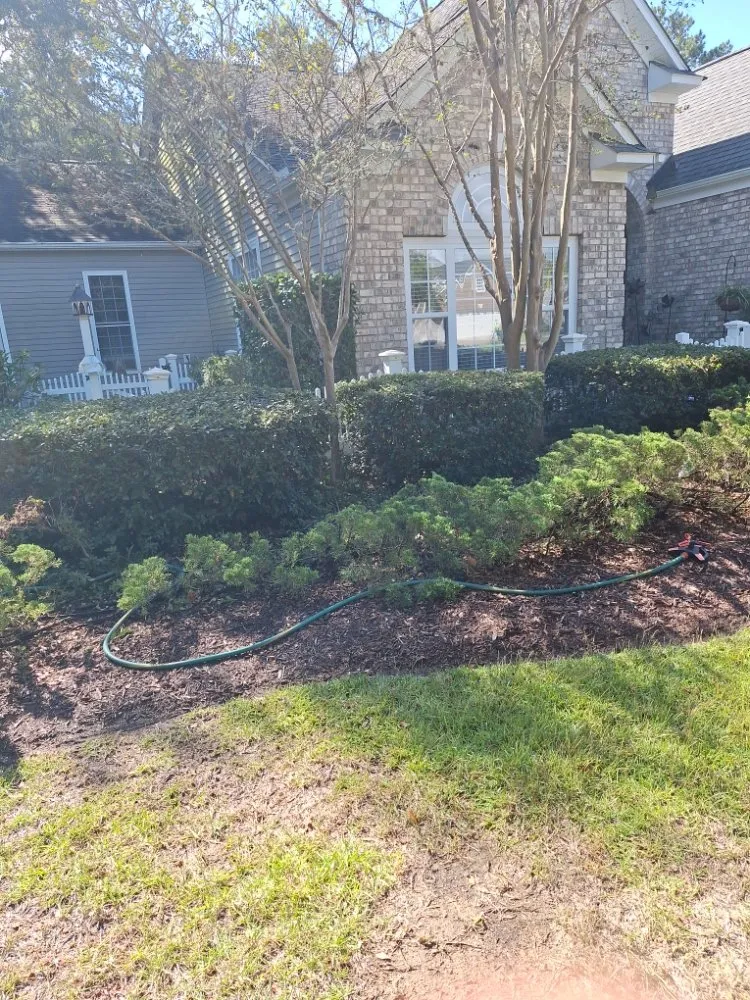 Affordable garden landscaping experts serving Loris, SC - Immaculate Trims