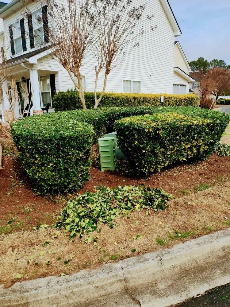 Trusted landscaping services in Loris, SC by Immaculate Trims