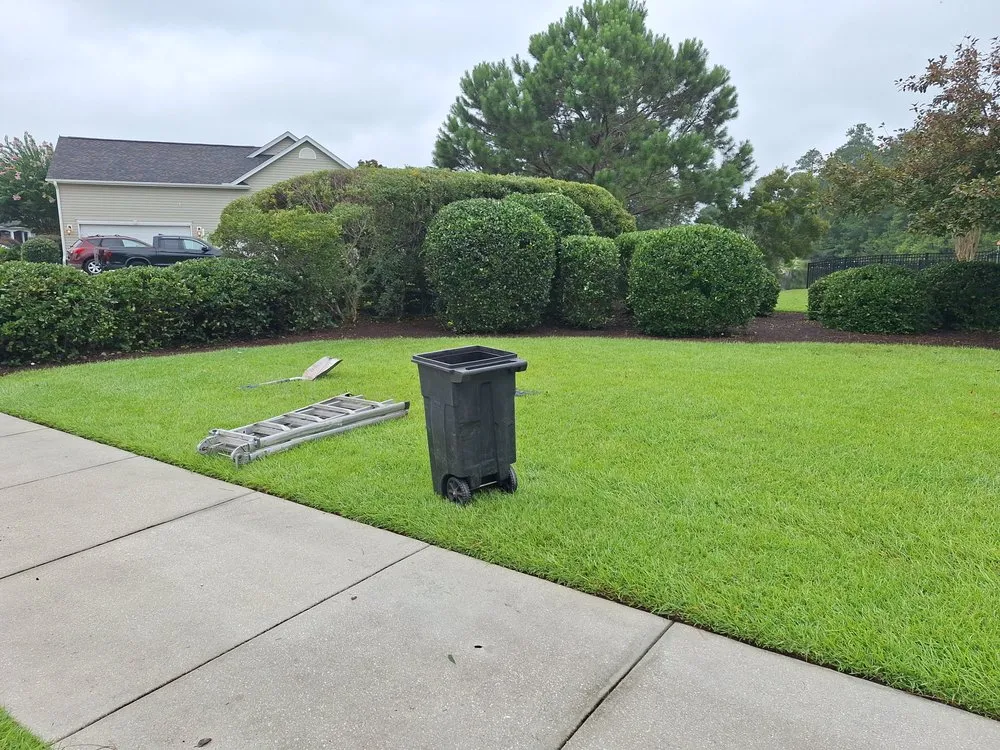 Top-rated outdoor landscaping near you across Loris, SC - Immaculate Trims