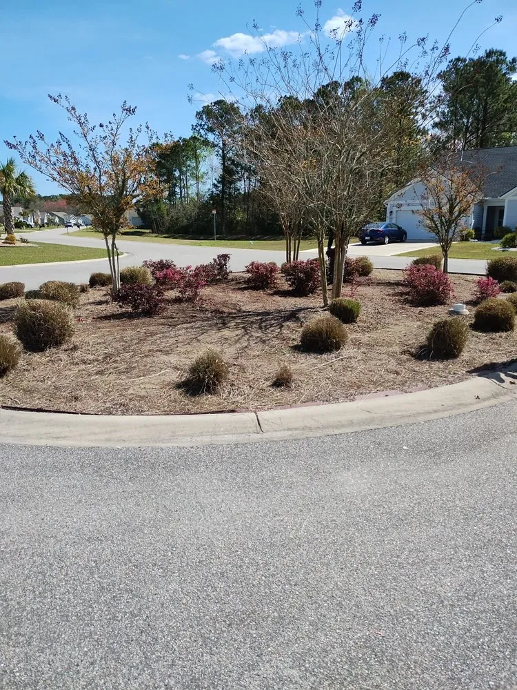 Reliable yard cleanup service for beautiful yards across Loris, SC - Immaculate Trims