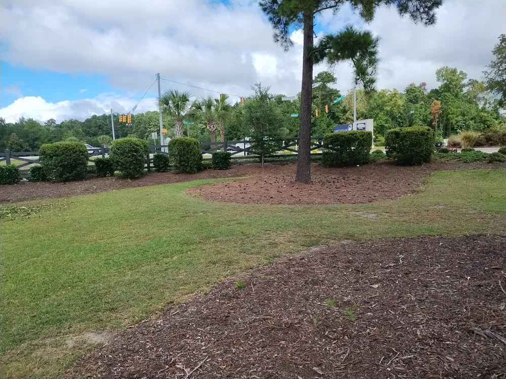 Expert yard cleanup service for year-round maintenance in Loris, SC by Immaculate Trims