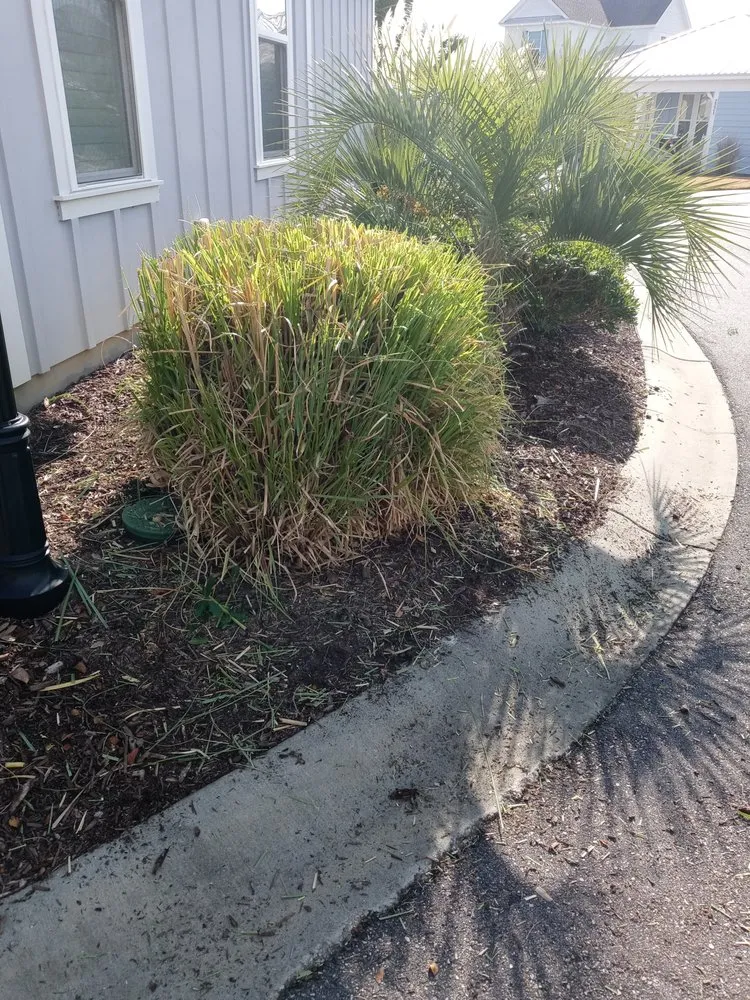 Professional residential landscaping for year-round maintenance across Loris, SC - Immaculate Trims
