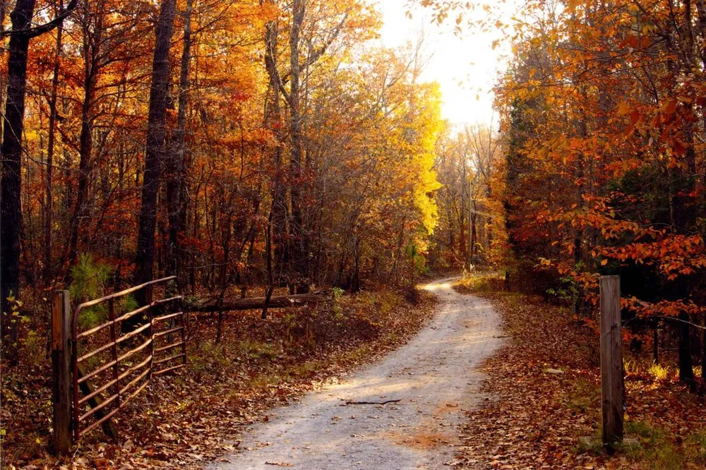 Affordable yard maintenance in Springfield, IL - Immanuel Lawn Service