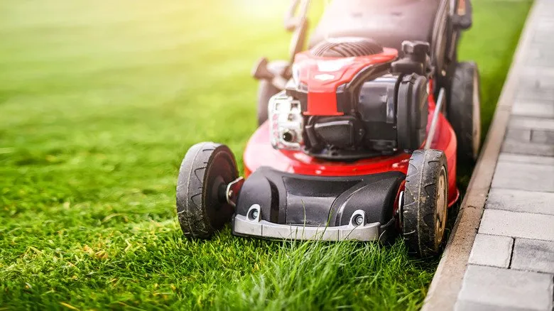 Reliable lawn mowing service for outdoor upgrades across Lugoff, SC - Immediate Grass Cutter