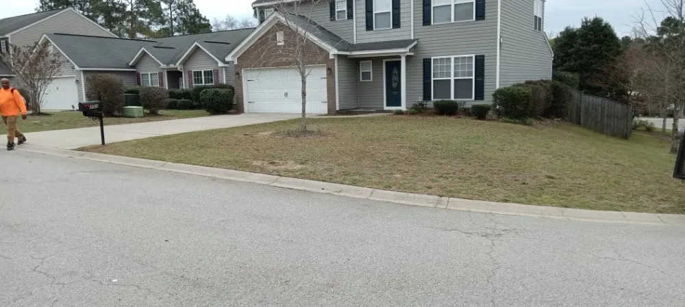 Professional yard maintenance experts serving Columbia, SC - Immortal Landscaping