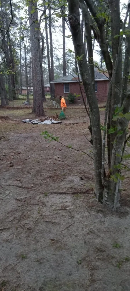 Trusted yard maintenance for outdoor upgrades in Columbia, SC by Immortal Landscaping