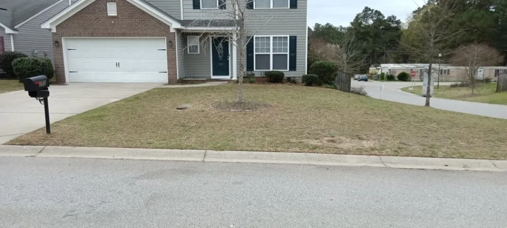 Professional lawn care service experts serving Columbia, SC - Immortal Landscaping