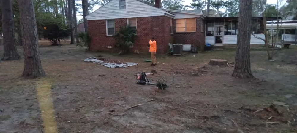 Professional outdoor landscaping for residential properties across Columbia, SC - Immortal Landscaping