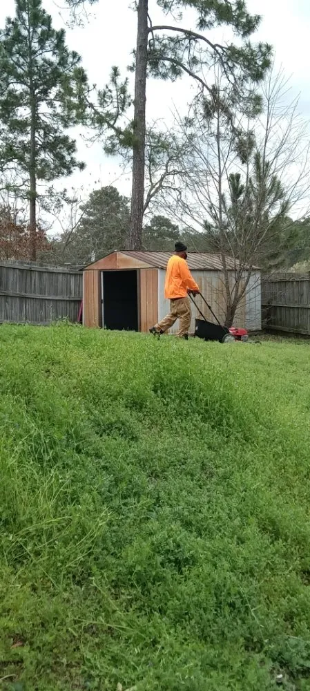 Expert outdoor landscaping in Columbia, SC - Immortal Landscaping