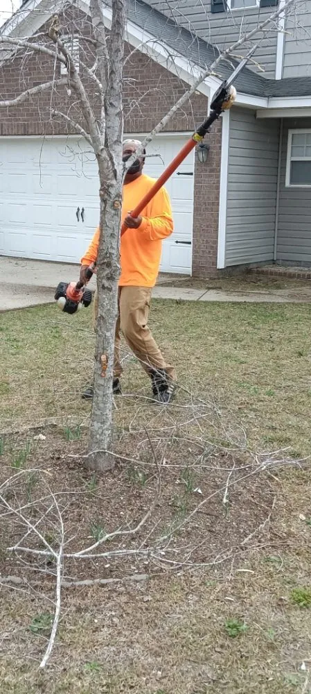 Professional garden landscaping in Columbia, SC by Immortal Landscaping