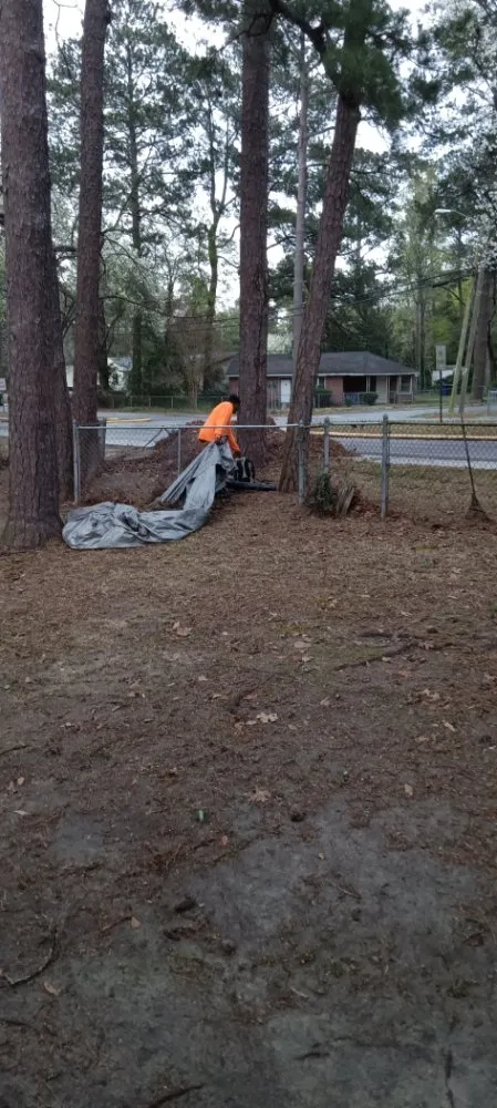 Expert yard maintenance experts serving Columbia, SC - Immortal Landscaping