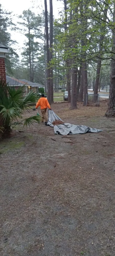 Professional landscape design for outdoor upgrades in Columbia, SC by Immortal Landscaping