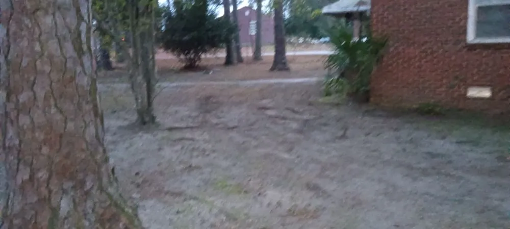 Professional landscaping services in Columbia, SC - Immortal Landscaping