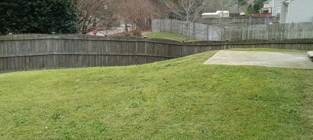 Affordable landscape installation in Columbia, SC by Immortal Landscaping