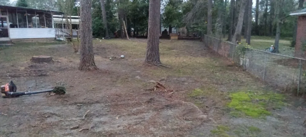 Local residential landscaping for year-round maintenance in Columbia, SC by Immortal Landscaping