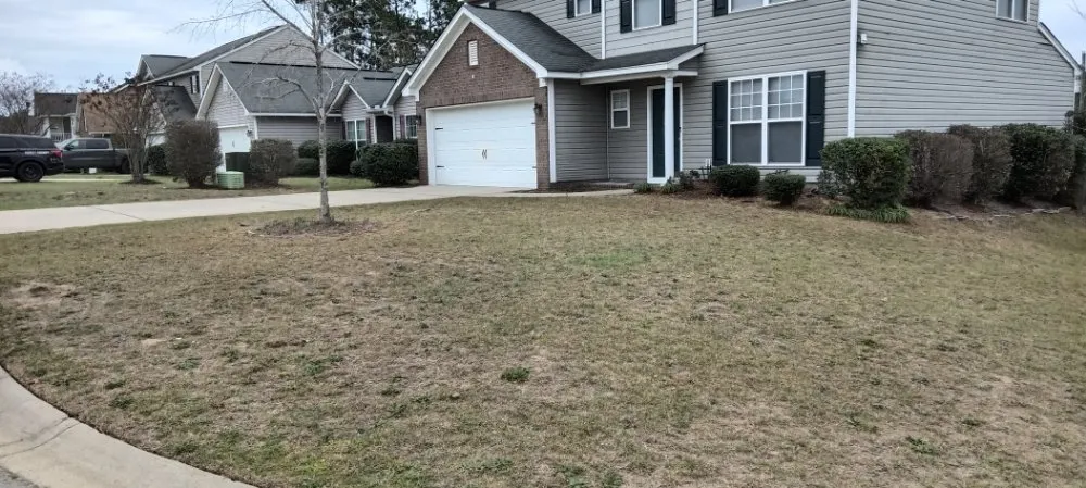 Local lawn mowing service in Columbia, SC - Immortal Landscaping