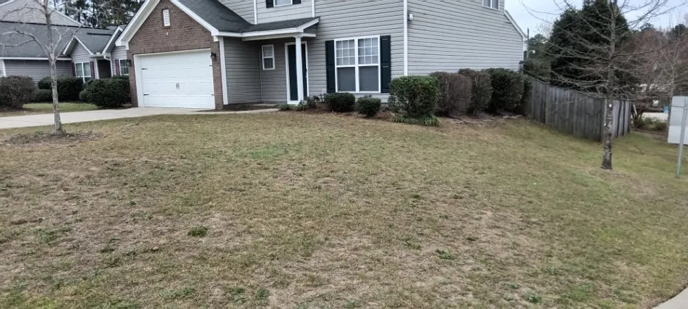 Reliable landscaping services in Columbia, SC - Immortal Landscaping