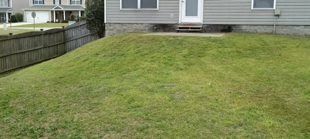 Local landscape design for beautiful yards in Columbia, SC by Immortal Landscaping