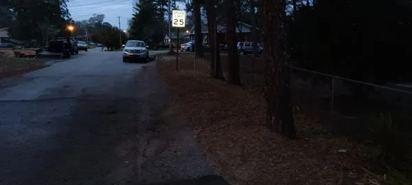 Immortal Landscaping Logo