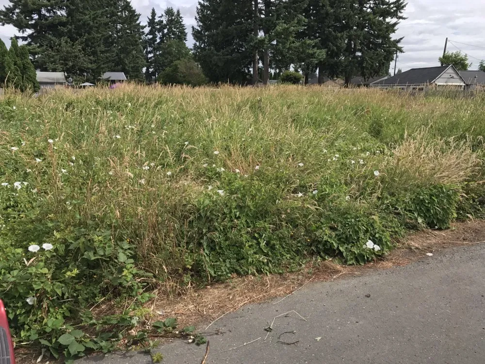 Custom lawn mowing service in Mount Vernon, WA by iMow + More