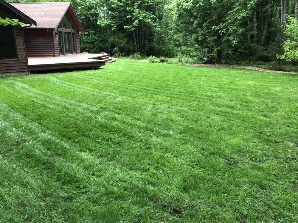 Expert lawn mowing service experts serving Mount Vernon, WA - iMow + More