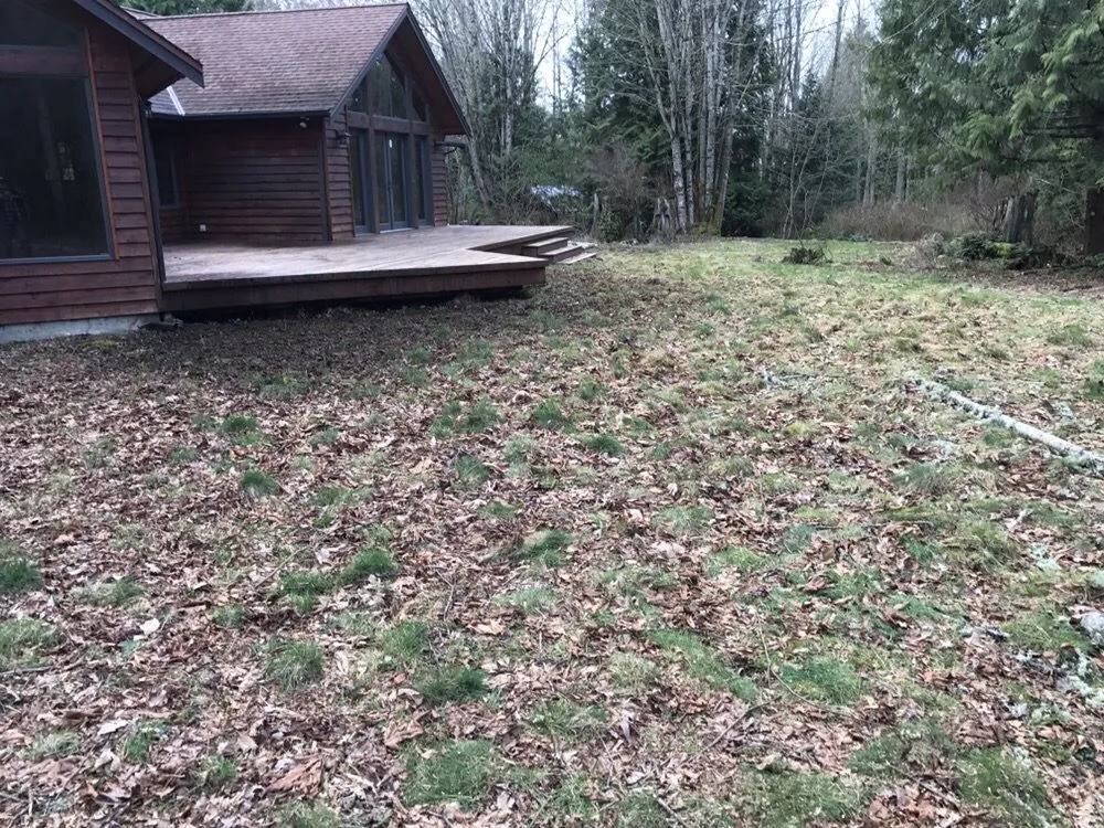 Top-rated residential landscaping in Mount Vernon, WA - iMow + More