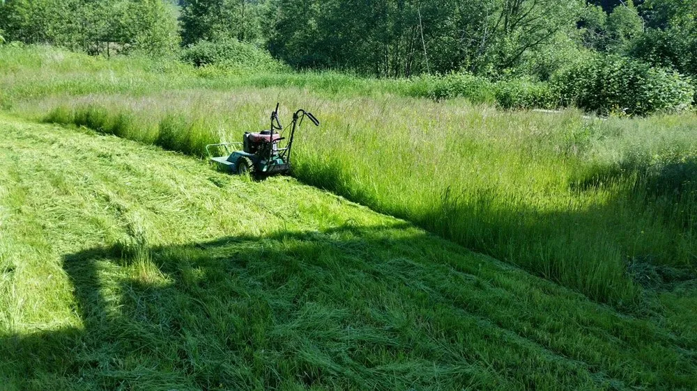 Affordable lawn mowing service for beautiful yards across Mount Vernon, WA - iMow + More