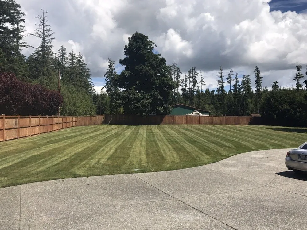 Top-rated residential landscaping in Mount Vernon, WA - iMow + More