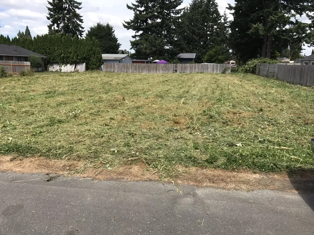 Top-rated yard maintenance for outdoor upgrades across Mount Vernon, WA - iMow + More