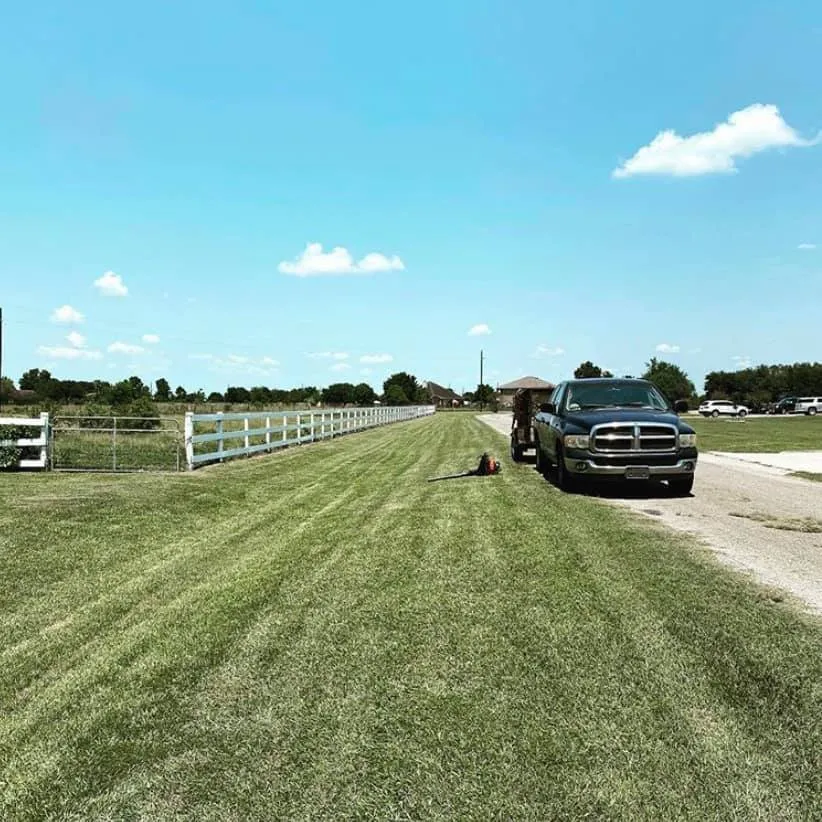 Affordable landscape design experts serving Houston, TX - iMow Lawns