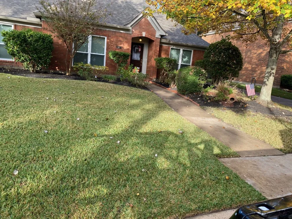 Local yard cleanup service experts serving Houston, TX - iMow Lawns