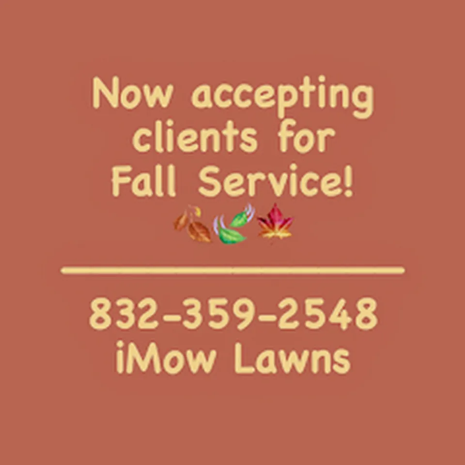 Top-rated lawn mowing service in Houston, TX by iMow Lawns