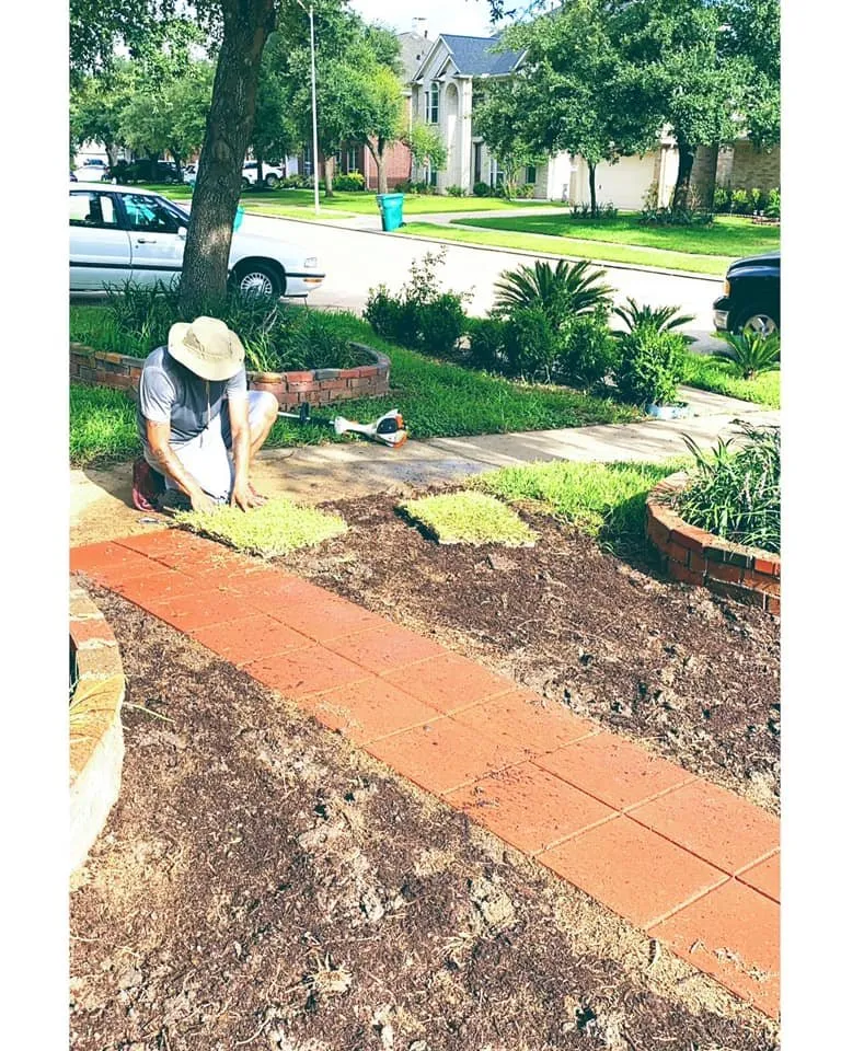 Top-rated residential landscaping experts serving Houston, TX - iMow Lawns