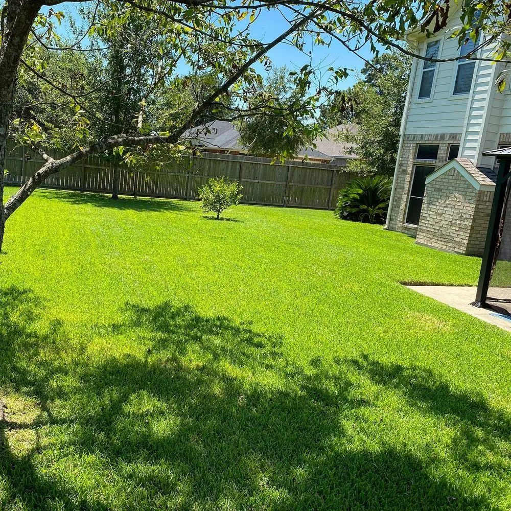 Professional yard cleanup service in Houston, TX - iMow Lawns