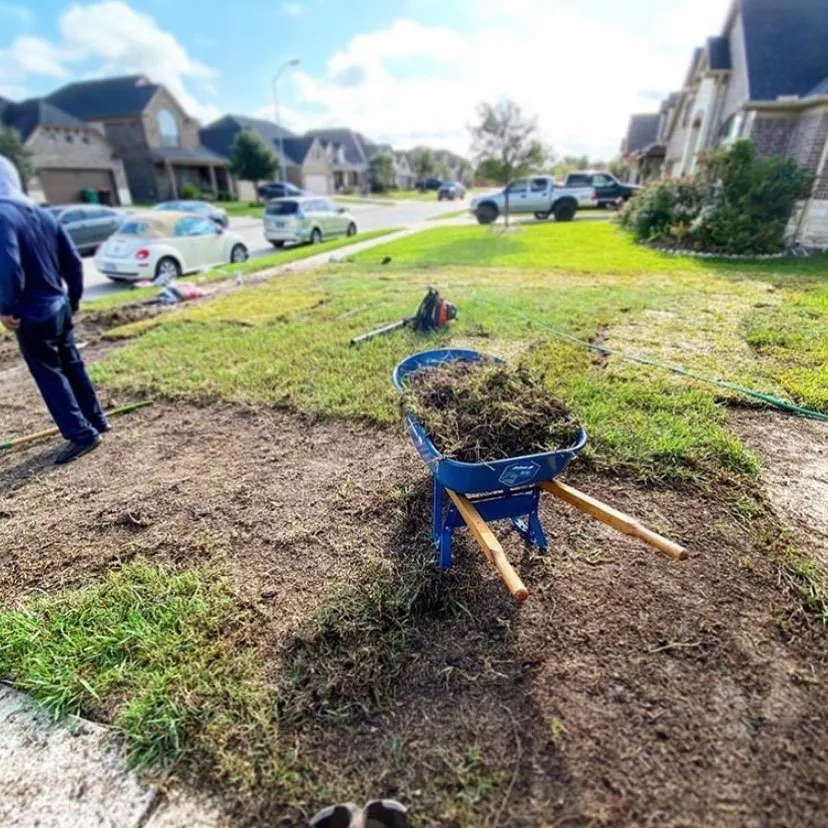 Professional residential landscaping with custom design in Houston, TX by iMow Lawns