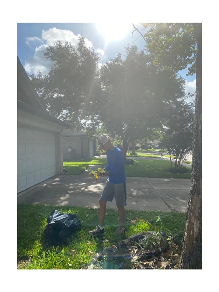 Local landscaping services for residential properties across Houston, TX - iMow Lawns