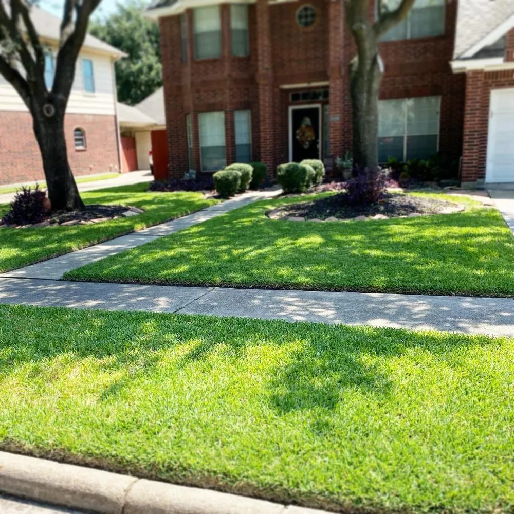 Trusted lawn mowing service in Houston, TX - iMow Lawns