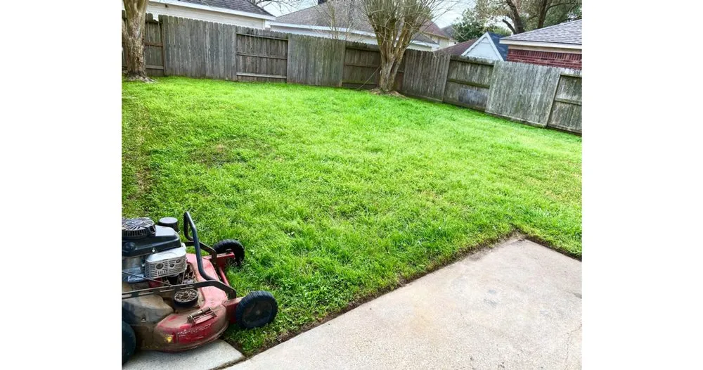 Custom outdoor landscaping for beautiful yards across Houston, TX - iMow Lawns