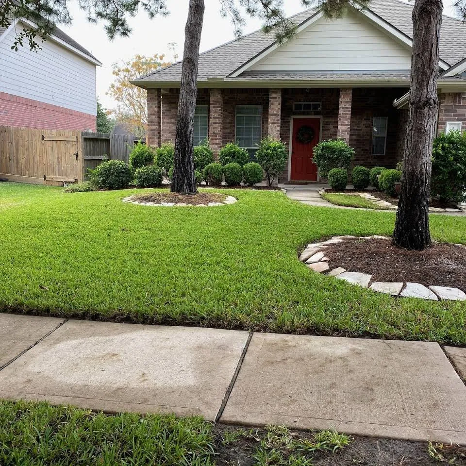 Reliable yard cleanup service in Houston, TX - iMow Lawns