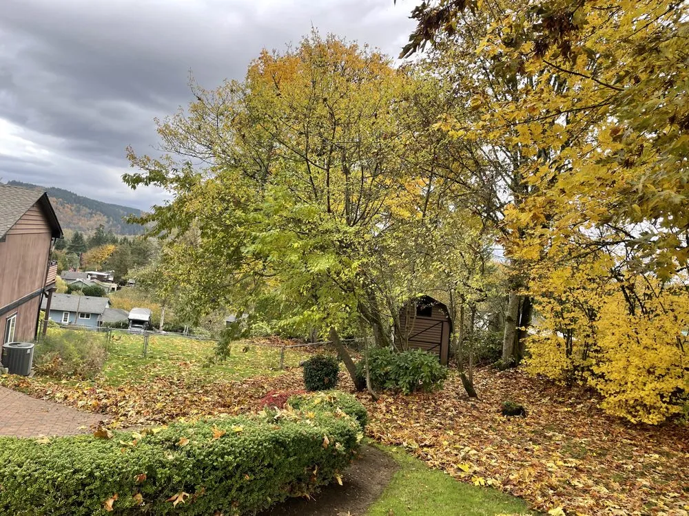 Affordable outdoor landscaping in Snohomish, WA by iMow